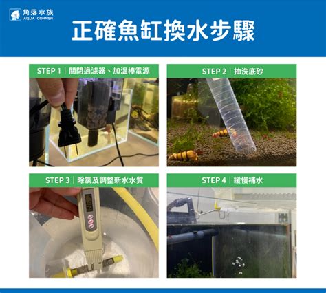 養魚要注意什麼|魚缸多久換水一次？魚缸換水正確4步驟！魚缸換水神器推薦